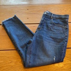 LOFT Jeans Size 12